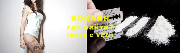 твердый Алзамай