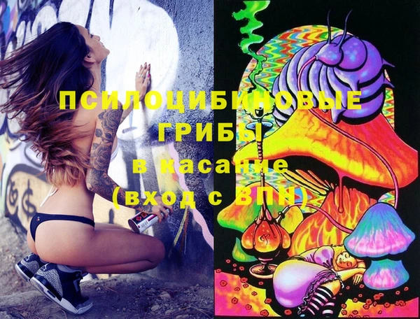 твердый Алзамай