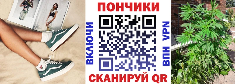 Каннабис ГИДРОПОН  Купить где  Яхрома 